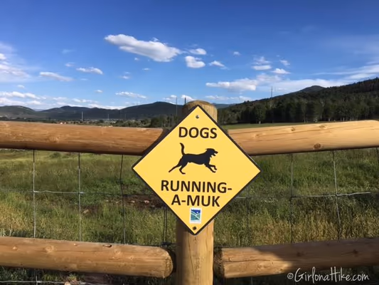 Run-A-Muk Dog Park photo 1